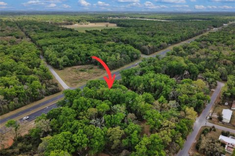 Land in Fanning Springs, Florida № 2239969 - photo 14