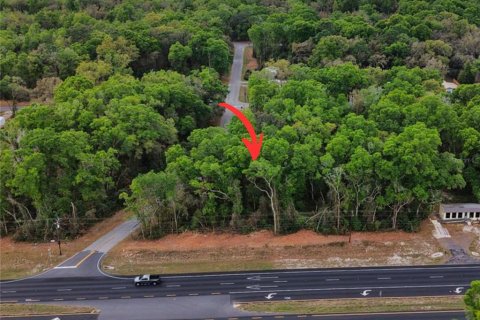 Land in Fanning Springs, Florida № 2239969 - photo 3