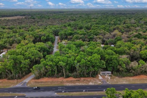 Land in Fanning Springs, Florida № 2239969 - photo 8