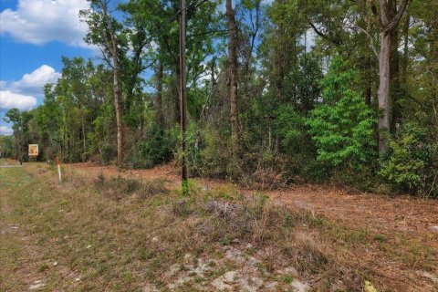 Land in Fanning Springs, Florida № 2239969 - photo 13