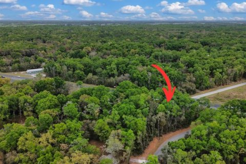 Land in Fanning Springs, Florida № 2239969 - photo 7