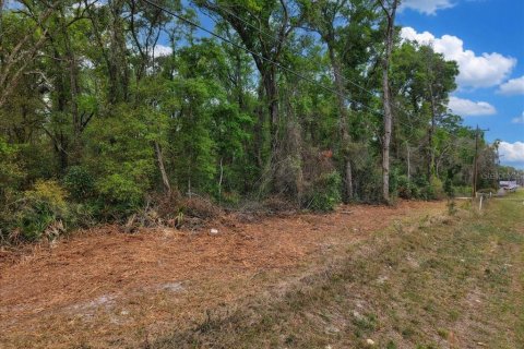 Land in Fanning Springs, Florida № 2239969 - photo 15