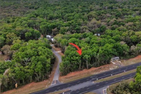 Land in Fanning Springs, Florida № 2239969 - photo 6