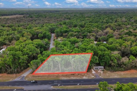 Land in Fanning Springs, Florida № 2239969 - photo 5