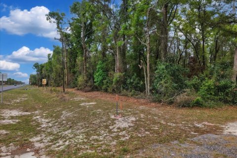 Land in Fanning Springs, Florida № 2239969 - photo 11