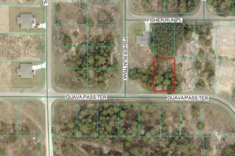 Land in Ocklawaha, Florida № 2166481