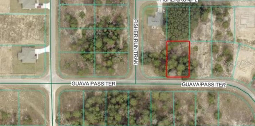 Land in Ocklawaha, Florida № 2166481