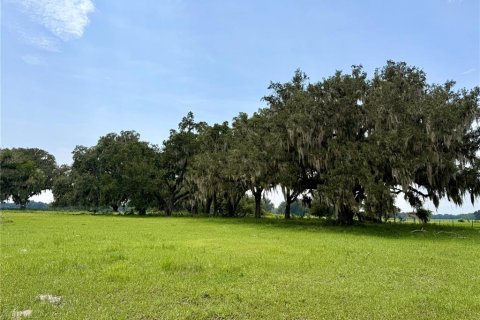 Terrain à Webster, Floride № 2219396