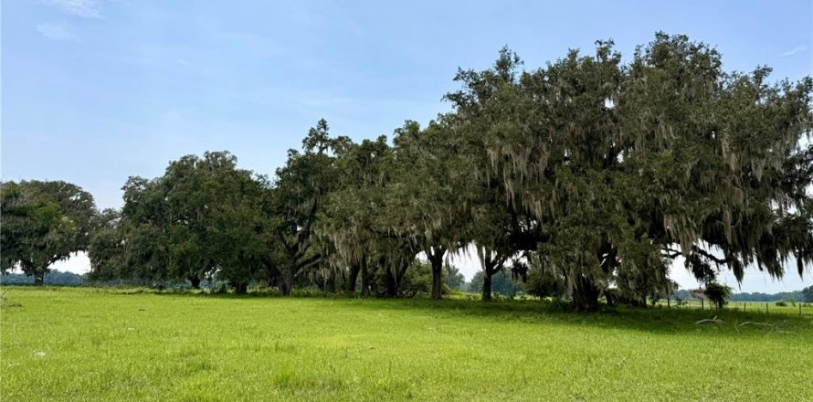 Terrain à Webster, Floride № 2219396