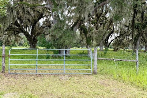 Terrain à vendre à Webster, Floride № 2219396 - photo 4