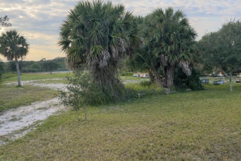 Commercial property in Grant-Valkaria, Florida № 2249576 - photo 2