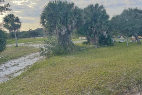 Commercial property in Grant-Valkaria, Florida № 2249576