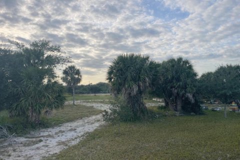 Commercial property in Grant-Valkaria, Florida № 2249576 - photo 3