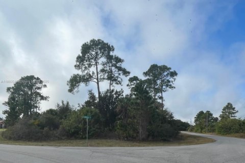 Terrain à vendre à North Port, Floride № 2169827 - photo 6