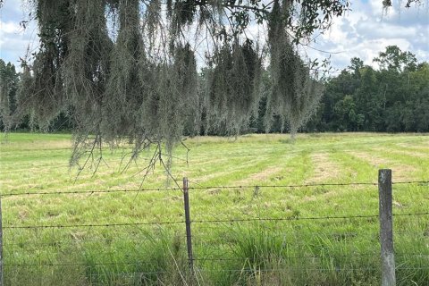 Terrain à vendre à Wauchula, Floride № 2399053 - photo 4