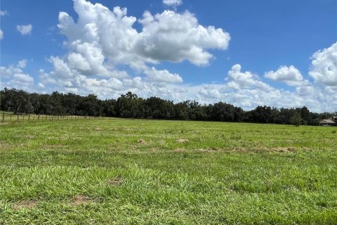 Terrain à vendre à Wauchula, Floride № 2399053 - photo 5