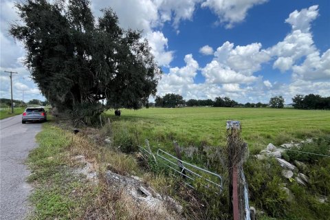 Terrain à vendre à Wauchula, Floride № 2399053 - photo 16