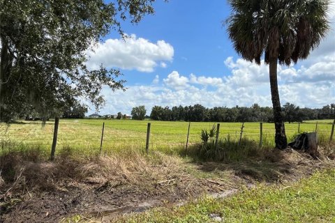 Terrain à vendre à Wauchula, Floride № 2399053 - photo 6