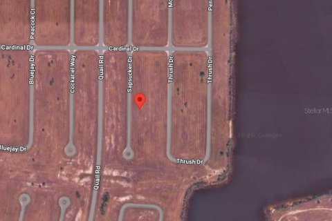 Land in Placida, Florida № 2165657 - photo 2