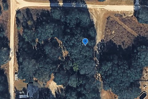 Land in Dunnellon, Florida № 2160973 - photo 2