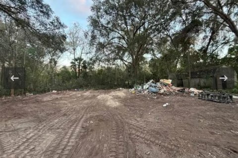 Terreno en venta en Ocala, Florida № 2099251 - foto 3