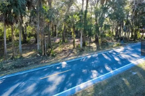 Terreno en venta en Ocala, Florida № 2099251 - foto 2