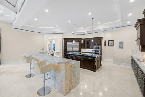 House in Odessa, Florida 5 bedrooms, 638.7 sq.m. № 2122873 - photo 23