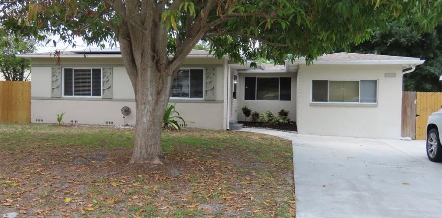 House in Saint Petersburg, Florida 4 bedrooms, 198.63 sq.m. № 1685058