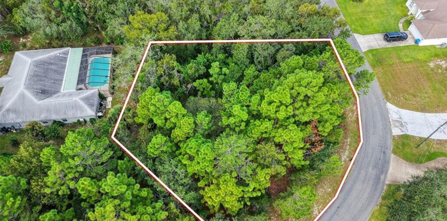 Land in Spring Hill, Florida № 1914798