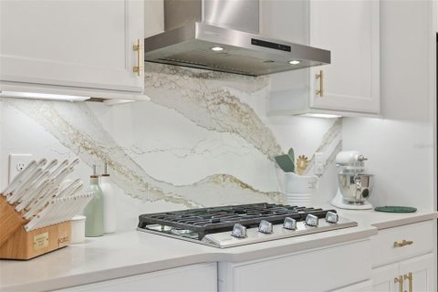 Villa ou maison à vendre à Mount Dora, Floride: 4 chambres, 265.89 m2 № 2406338 - photo 26