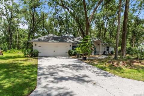 Villa ou maison à vendre à Inverness, Floride: 3 chambres, 137.03 m2 № 1879237 - photo 24