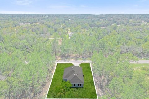 House in Ocklawaha, Florida 3 bedrooms, 125.42 sq.m. № 1202032 - photo 30