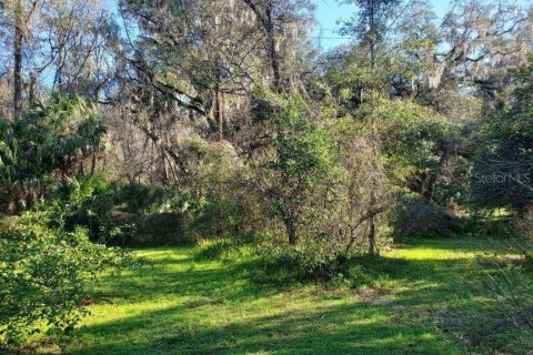 Land in Gainesville, Florida № 2222043 - photo 4
