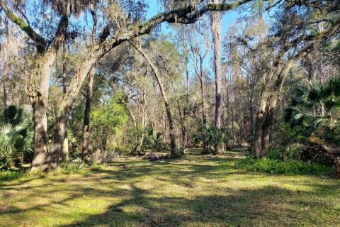 Land in Gainesville, Florida № 2222043 - photo 6