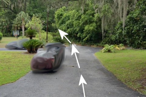 Land in Gainesville, Florida № 2222043 - photo 7