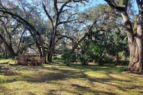 Land in Gainesville, Florida № 2222043 - photo 3