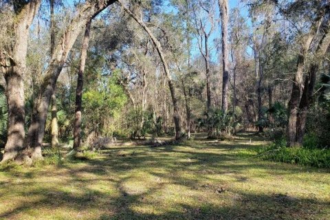 Land in Gainesville, Florida № 2222043