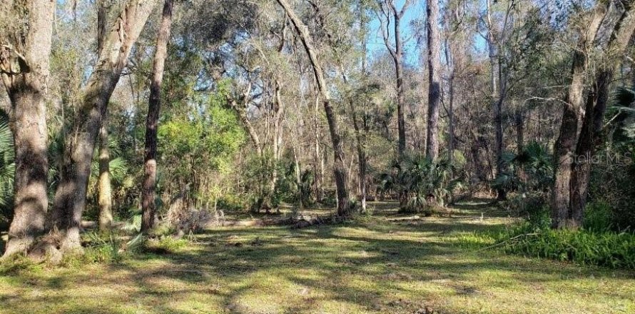 Land in Gainesville, Florida № 2222043