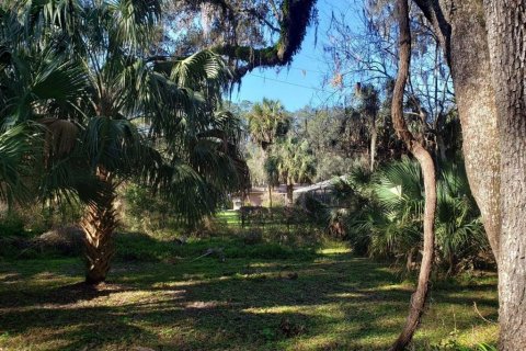 Land in Gainesville, Florida № 2222043 - photo 5