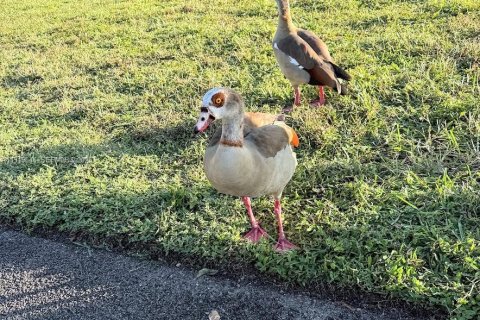 Condominio en venta en Lauderhill, Florida, 1 dormitorio, 60.67 m2 № 1974378 - foto 25