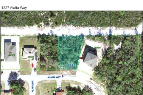 Land in Kissimmee, Florida № 2163710 - photo 2