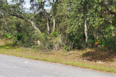 Land in Kissimmee, Florida № 2163710 - photo 3