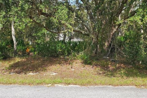 Land in Kissimmee, Florida № 2163710