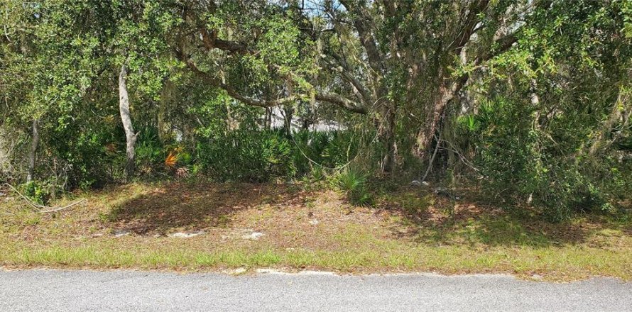 Land in Kissimmee, Florida № 2163710