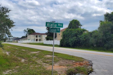 Land in Kissimmee, Florida № 2163710 - photo 5