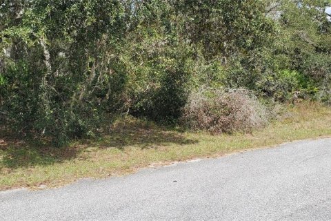 Land in Kissimmee, Florida № 2163710 - photo 4