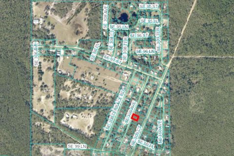 Land in Altoona, Florida № 2163066 - photo 2
