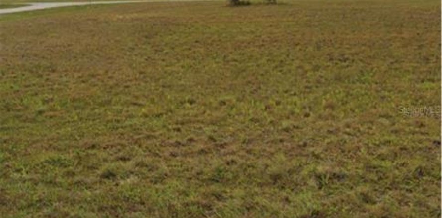 Land in Placida, Florida № 2161283