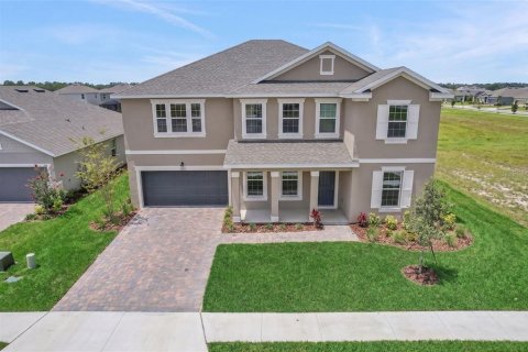 House in Parrish, Florida 5 bedrooms, 329.8 sq.m. № 2229166
