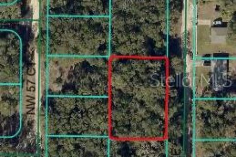 Terrain à Ocala, Floride № 2113599